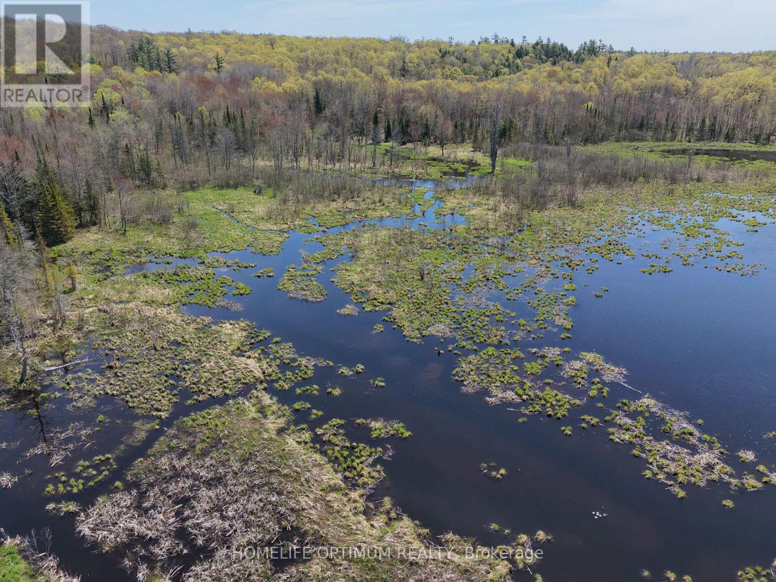 Pt Lt 4-5 Con 13 Henry Road, Bracebridge, Ontario  P1L 1X2 - Photo 15 - X14113018