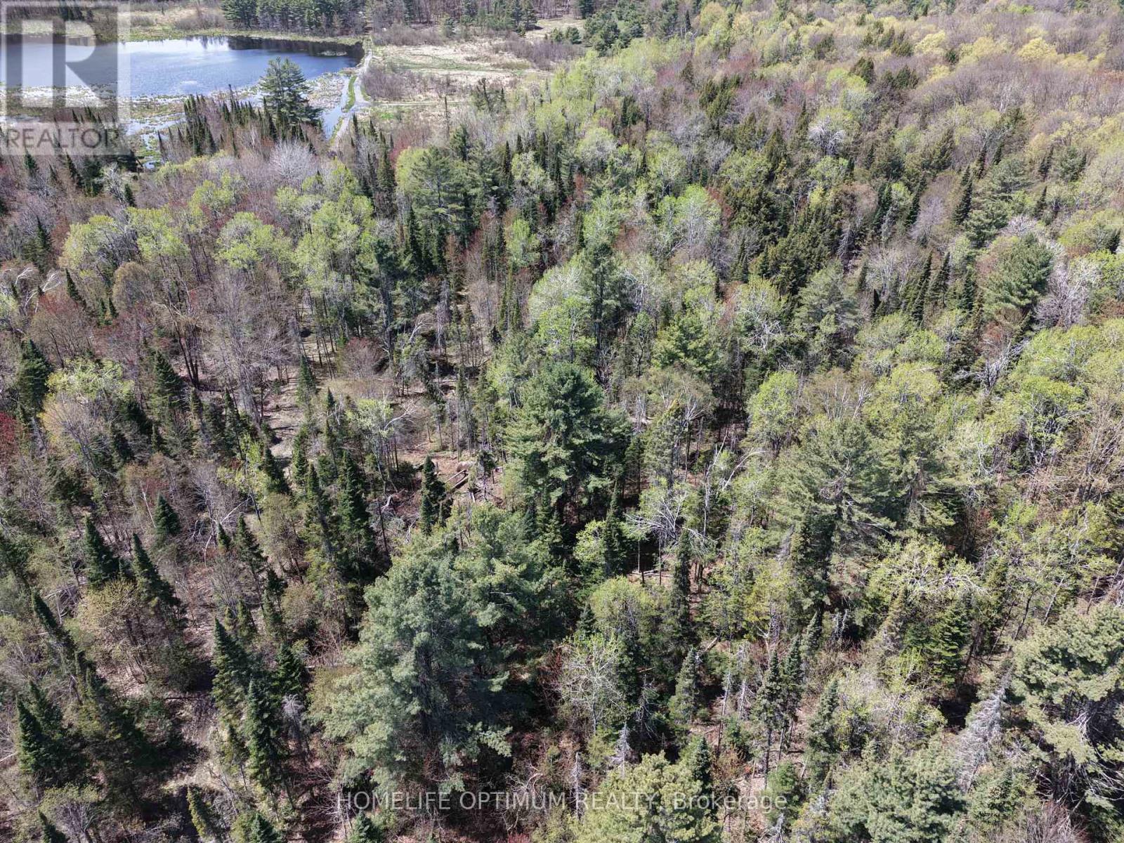 Pt Lt 4-5 Con 13 Henry Road, Bracebridge, Ontario  P1L 1X2 - Photo 3 - X14113018