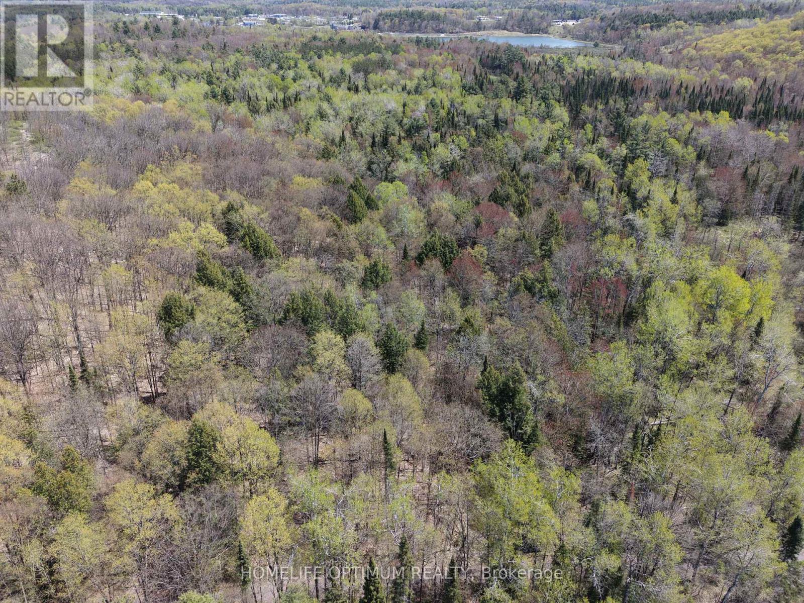 Pt Lt 4-5 Con 13 Henry Road, Bracebridge, Ontario  P1L 1X2 - Photo 6 - X14113018