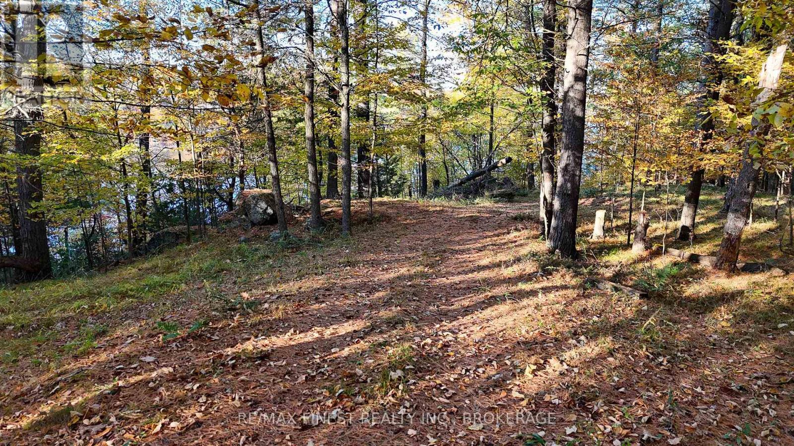 187 Weisiger Lane, Rideau Lakes, Ontario  K7M 1H9 - Photo 24 - X14112178