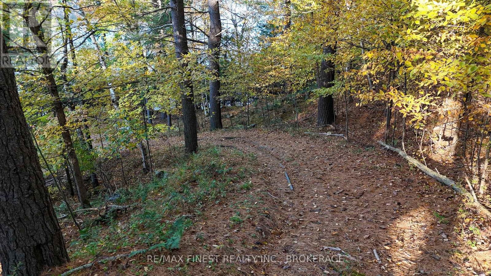 187 Weisiger Lane, Rideau Lakes, Ontario  K7M 1H9 - Photo 25 - X14112178
