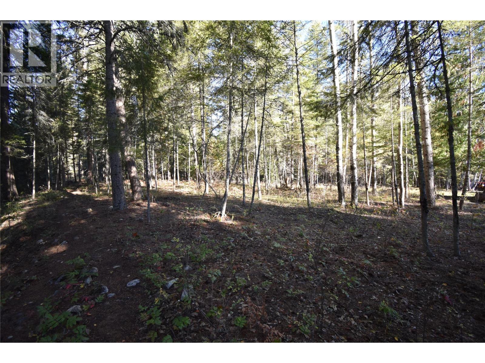 1025 Kelly Drive, Shoreacres, British Columbia  V1N 4P5 - Photo 35 - 10403903
