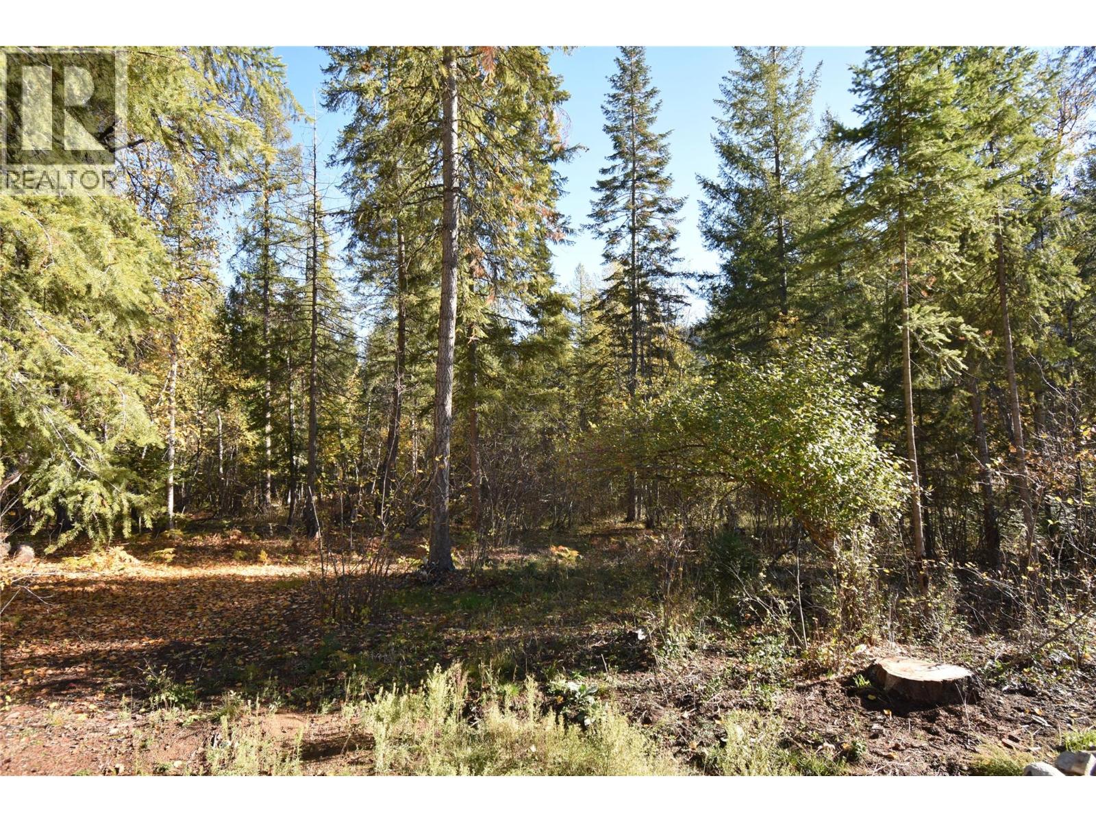 1025 Kelly Drive, Shoreacres, British Columbia  V1N 4P5 - Photo 32 - 10403903