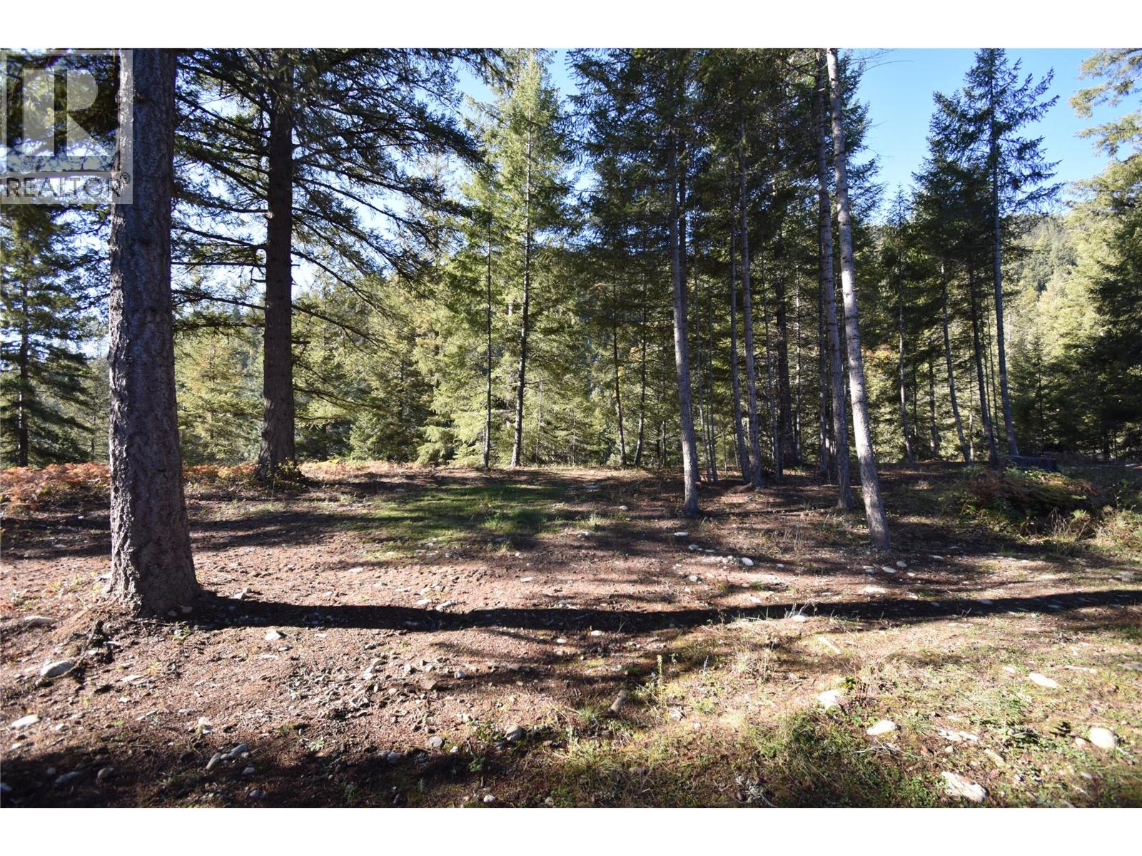 1025 Kelly Drive, Shoreacres, British Columbia  V1N 4P5 - Photo 37 - 10403903