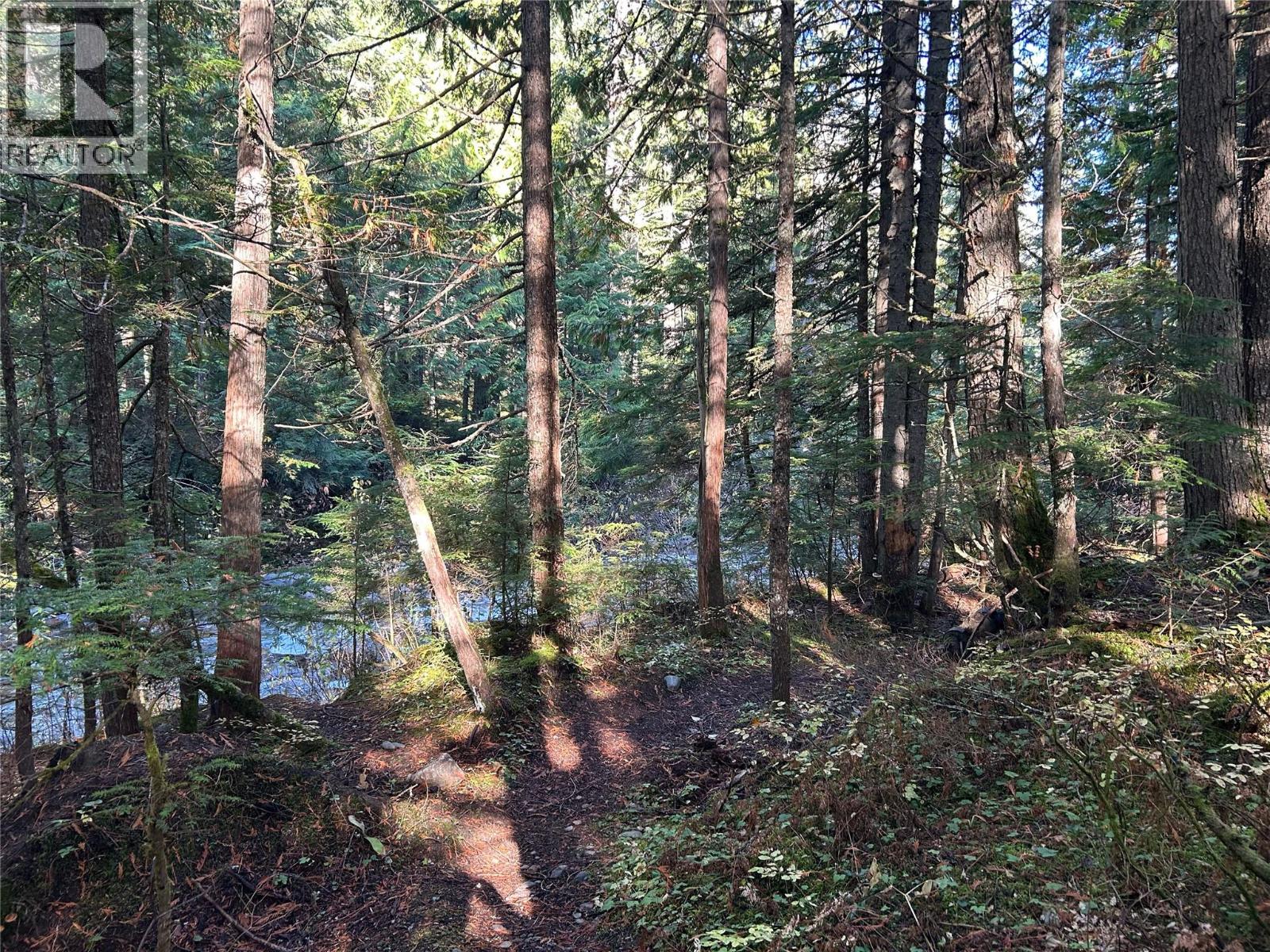 6960 Waverly Trail, Revelstoke, British Columbia V0E 2S0 - Photo 20 - 10403921