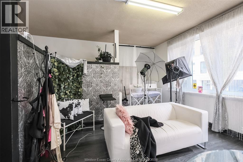 252 Pelissier Street, Windsor, Ontario  N9A 4K2 - Photo 4 - 26026147