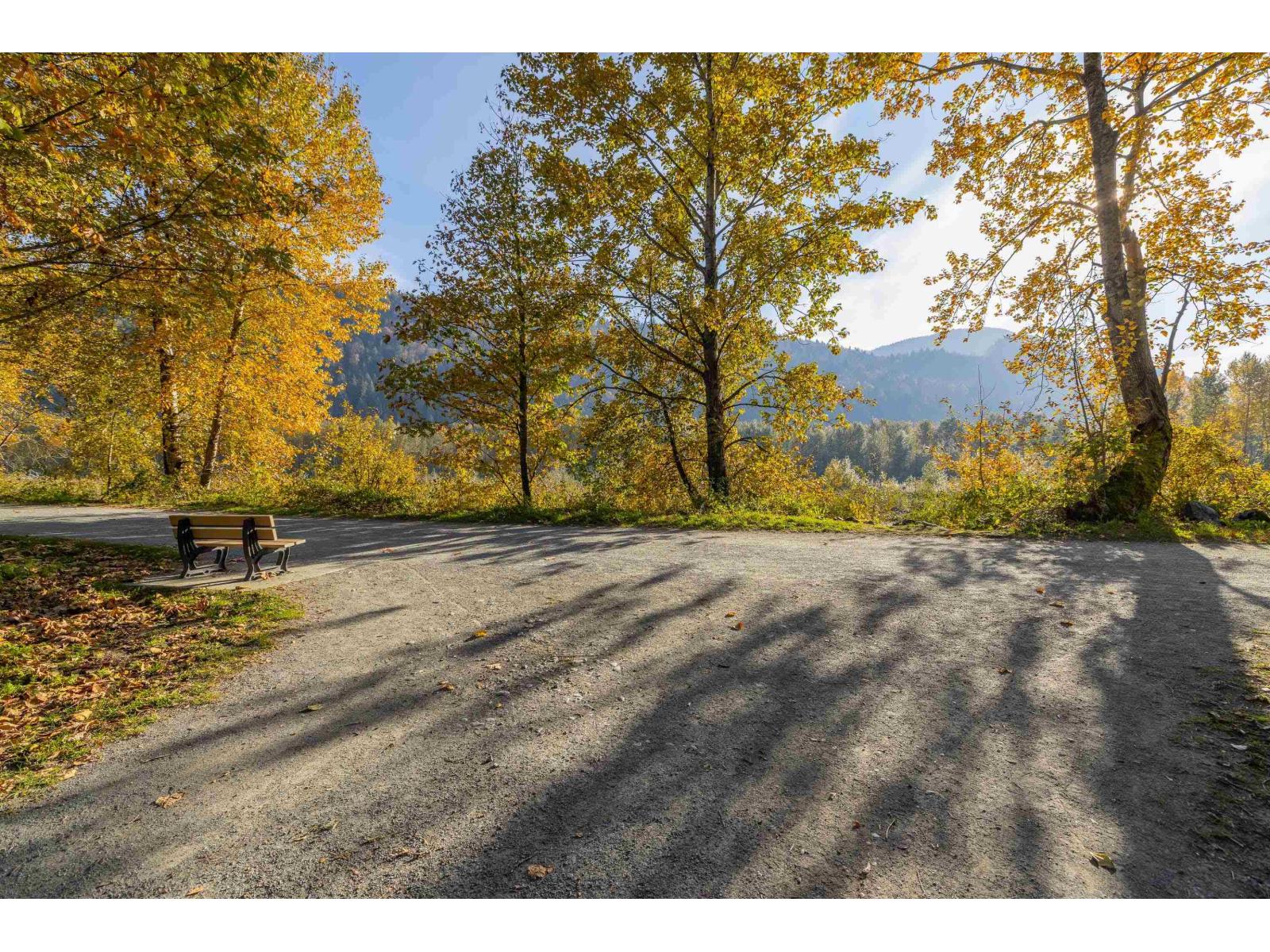 35 44523 MCLAREN DRIVE|Sardis South