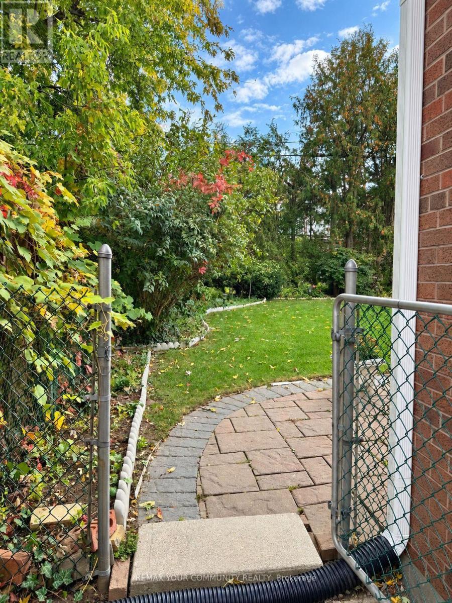 Bsmnt - 85 Patricia Avenue, Toronto (Newtonbrook West), Ontario  M2M 1J1 - Photo 3 - C14113390