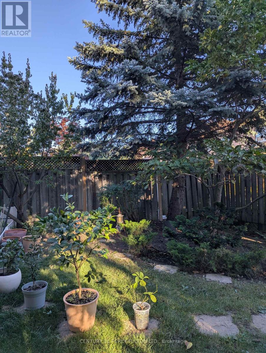 53 Elmrill Road, Markham, Ontario  L6C 2P1 - Photo 47 - N14113332