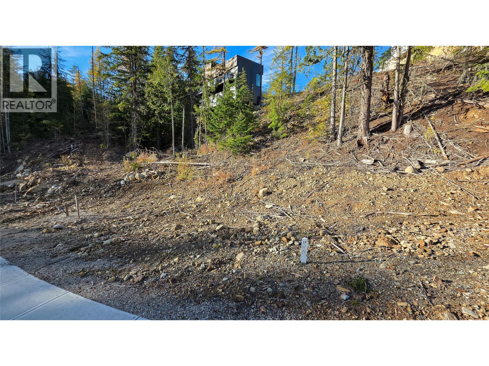 405 Centennial Place, Rossland, British Columbia  V0G 1Y0 - Photo 3 - 10403820