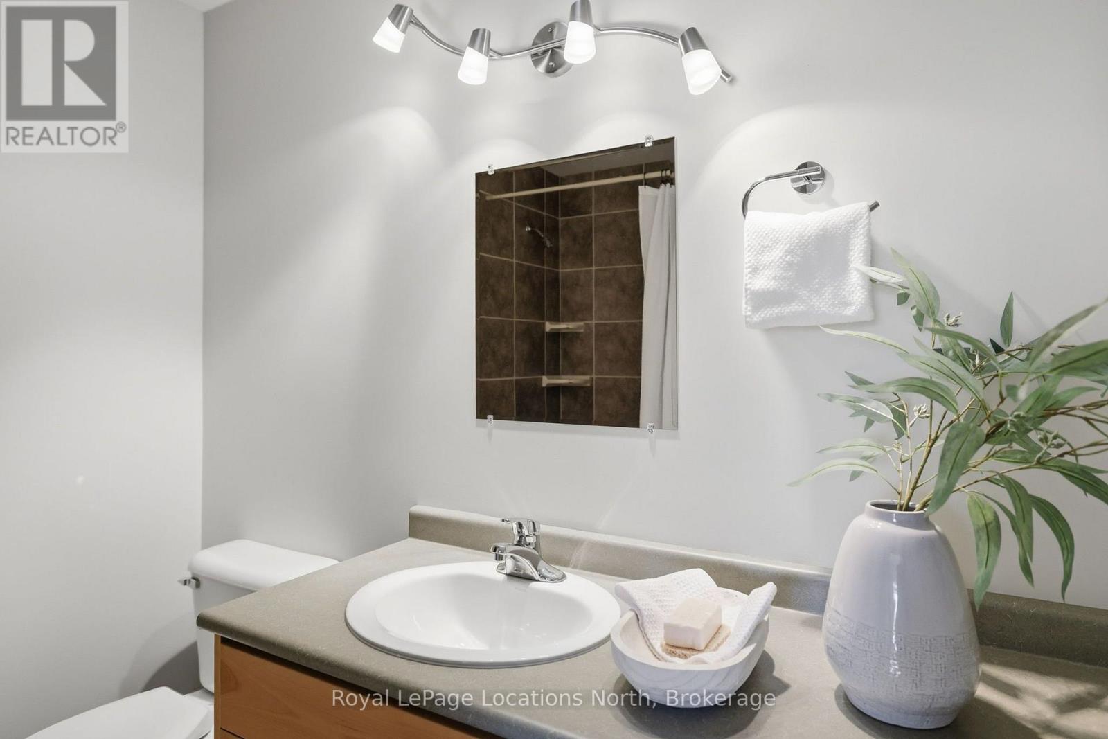 43 Niagara Street, Collingwood, Ontario  L9Y 3X1 - Photo 39 - S14114082