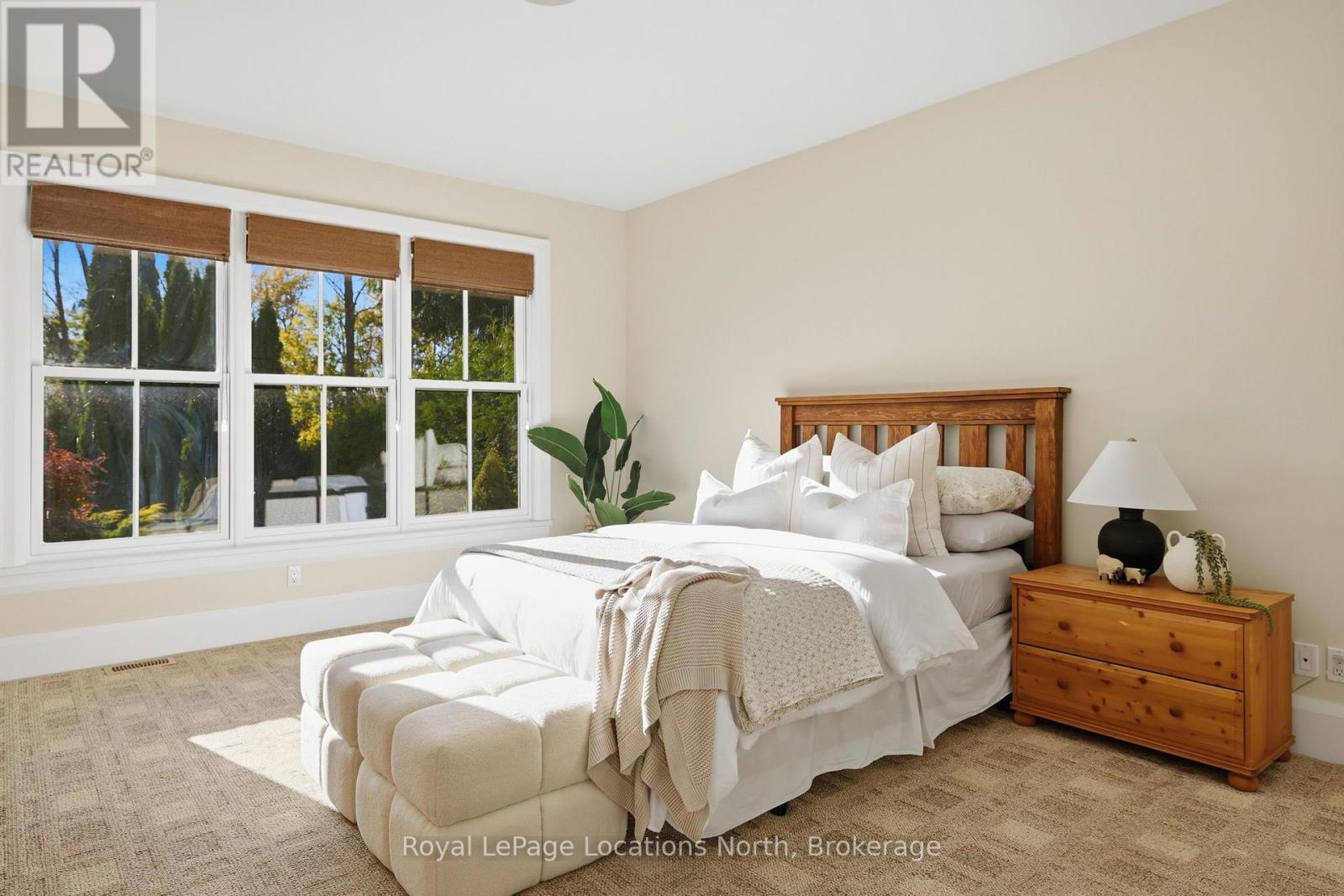 43 Niagara Street, Collingwood, Ontario  L9Y 3X1 - Photo 24 - S14114082