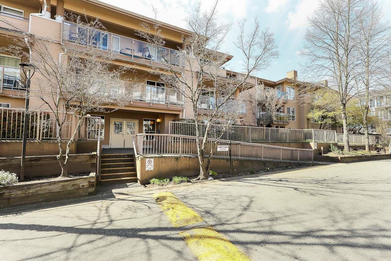 210 14980 101a Avenue, Surrey, British Columbia  V3R 0T1 - Photo 28 - R3178091