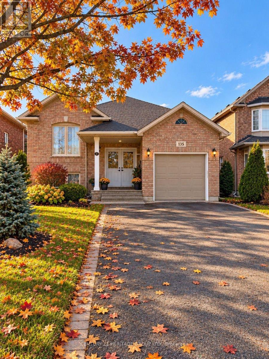 BASEMENT - 135 CHELTENHAM ROAD, Barrie, Ontario