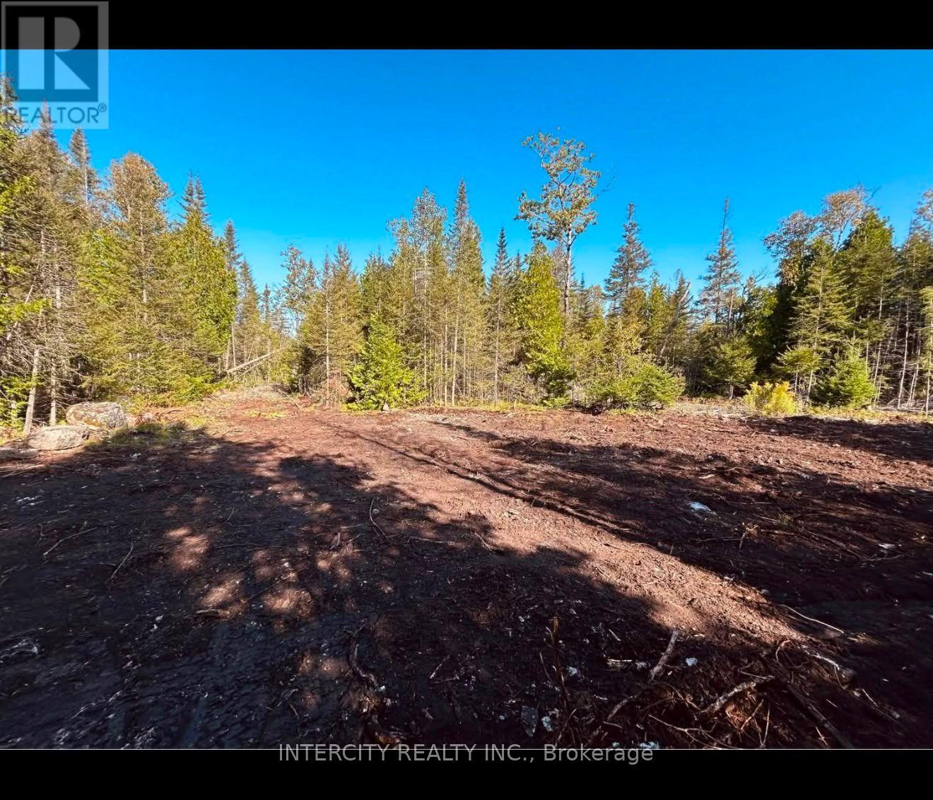 153 Bradley Drive, Northern Bruce Peninsula, Ontario  N0H 1Z0 - Photo 11 - X14114486