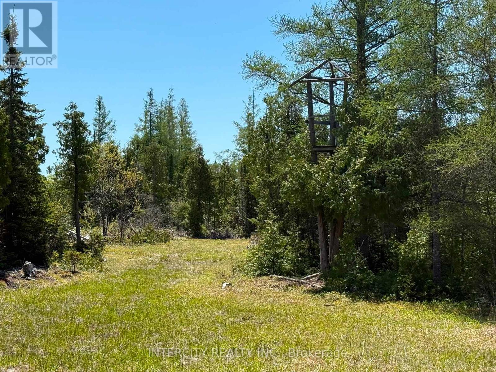 153 Bradley Drive, Northern Bruce Peninsula, Ontario  N0H 1Z0 - Photo 5 - X14114486