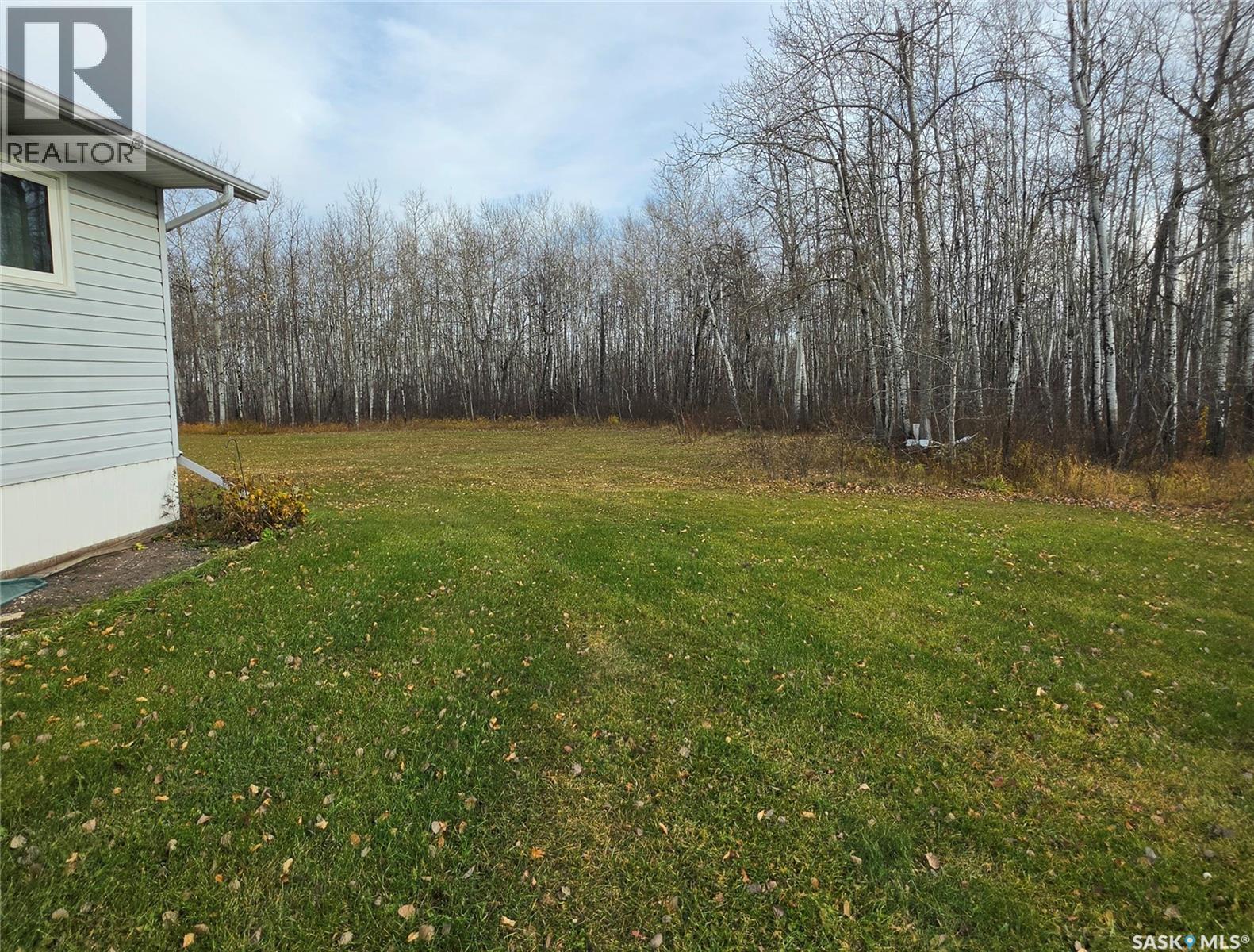 526 6th Avenue Ne, Preeceville, Saskatchewan  S0A 3B0 - Photo 40 - SK051903