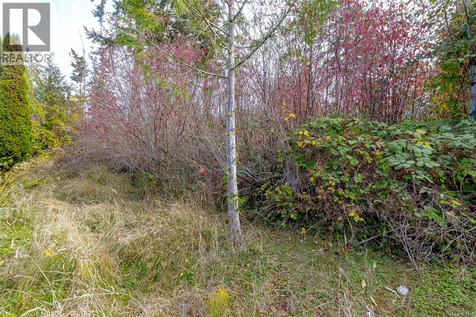 87 Bridgewater Lane, Parksville, British Columbia V9O 2V9 - Photo 55 - 1052664