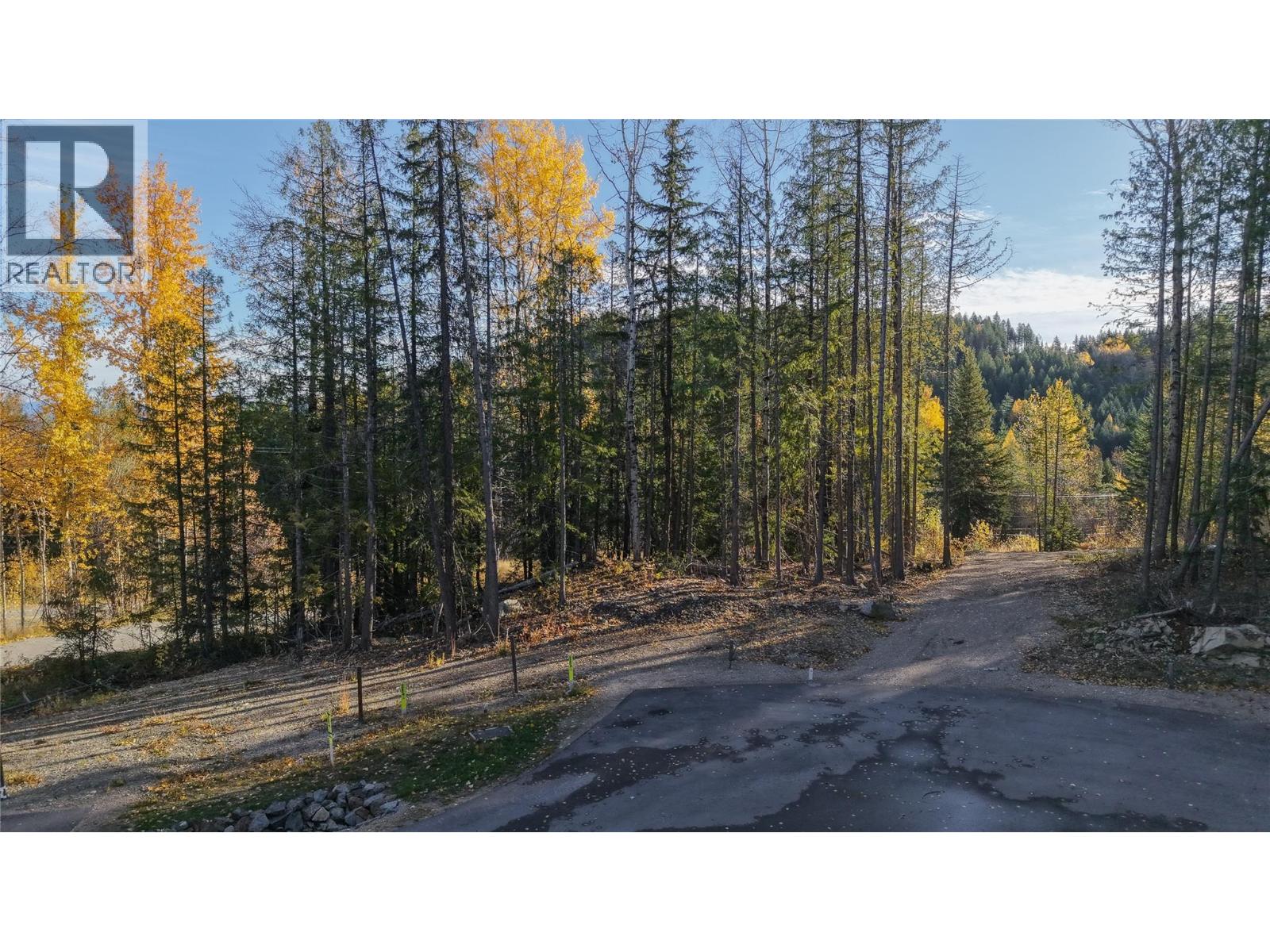 411 Centennial Place, Rossland, British Columbia  V0G 1Y0 - Photo 9 - 10404056
