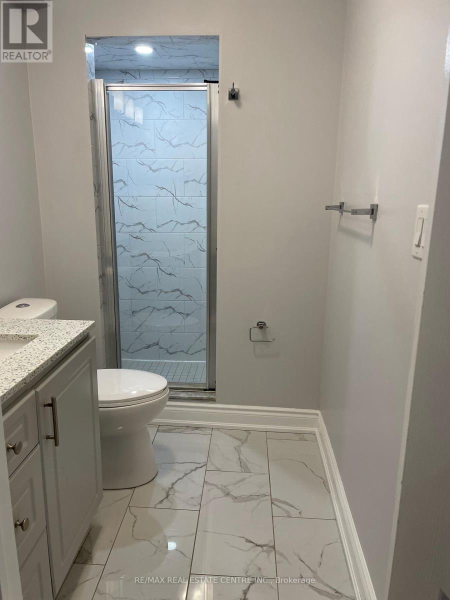 (Basement) - 1474 Pate Court, Mississauga, Ontario  L5V 2Y8 - Photo 8 - W14115026