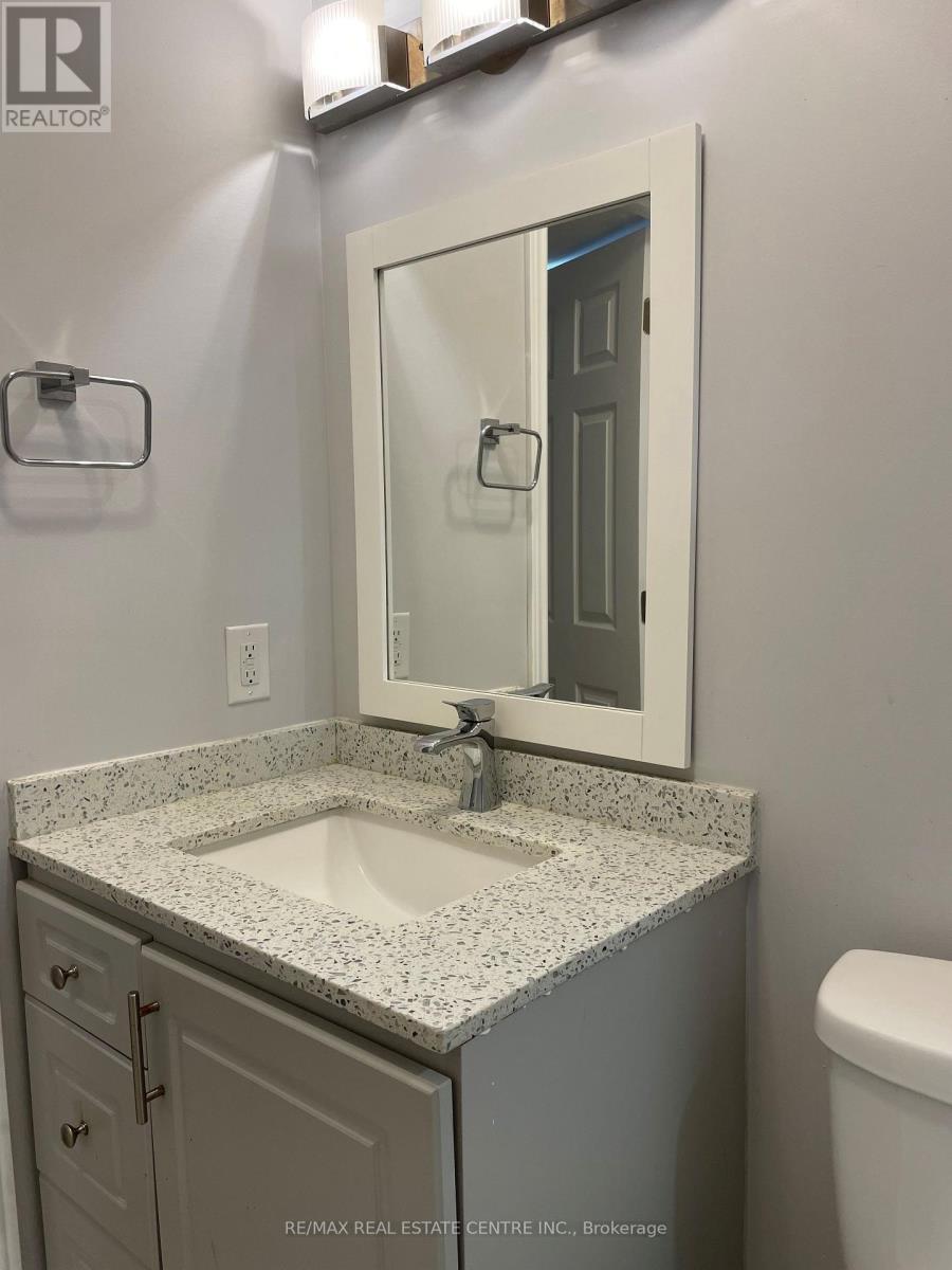 (Basement) - 1474 Pate Court, Mississauga, Ontario  L5V 2Y8 - Photo 9 - W14115026