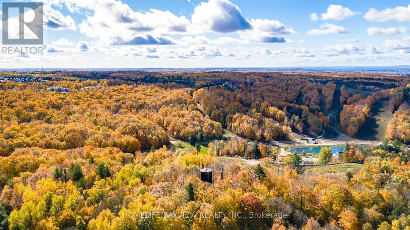 23 Country Club Lane, Oro-Medonte, Ontario L4M 4Y8 - Photo 48 - S12990506