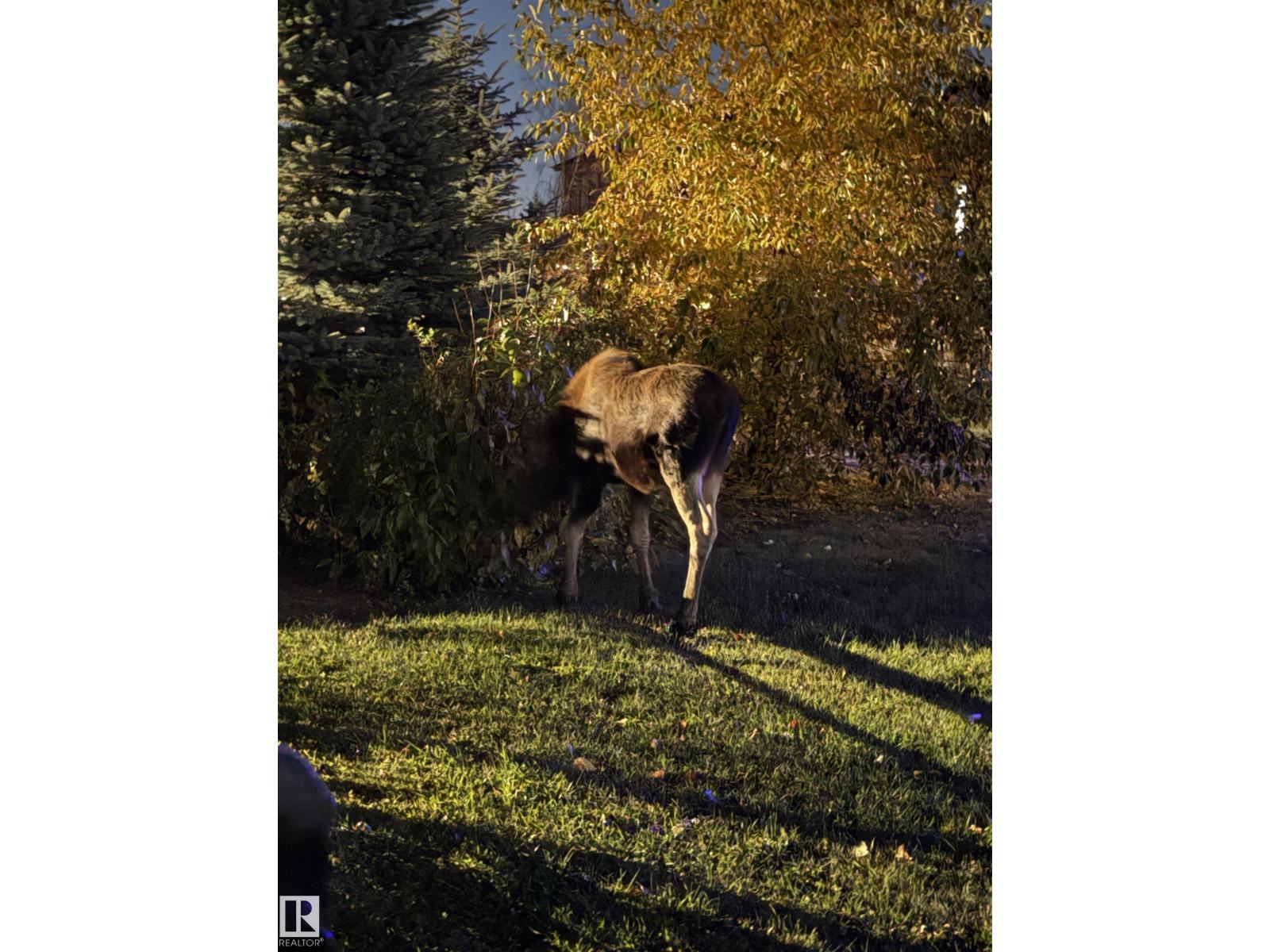12801 203 St Nw, Edmonton, Alberta  T5S 0E7 - Photo 73 - E4509209