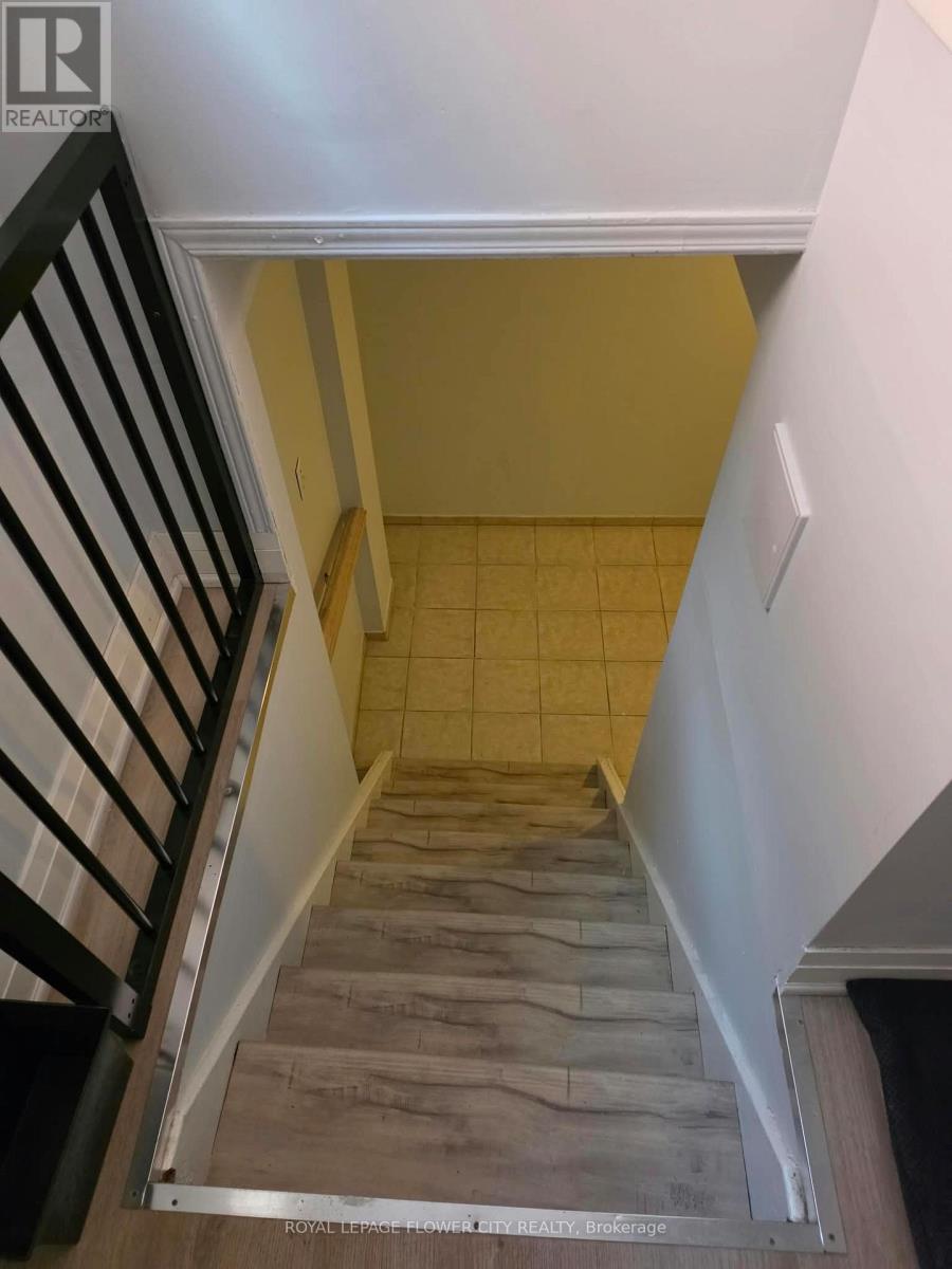 Basement - 859 Drysdale Drive, Mississauga, Ontario  L5V 1X5 - Photo 3 - W14115056
