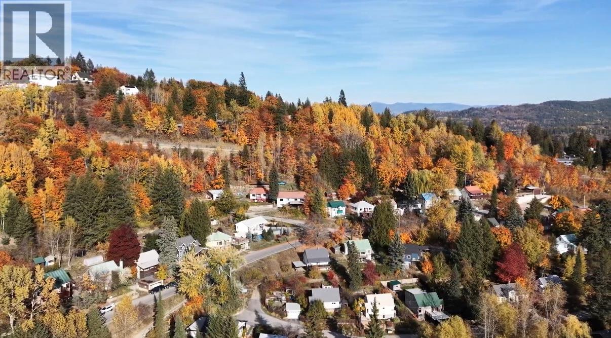 1380 Queen Street, Rossland, British Columbia V0G 1Y0 - Photo 43 - 10403936
