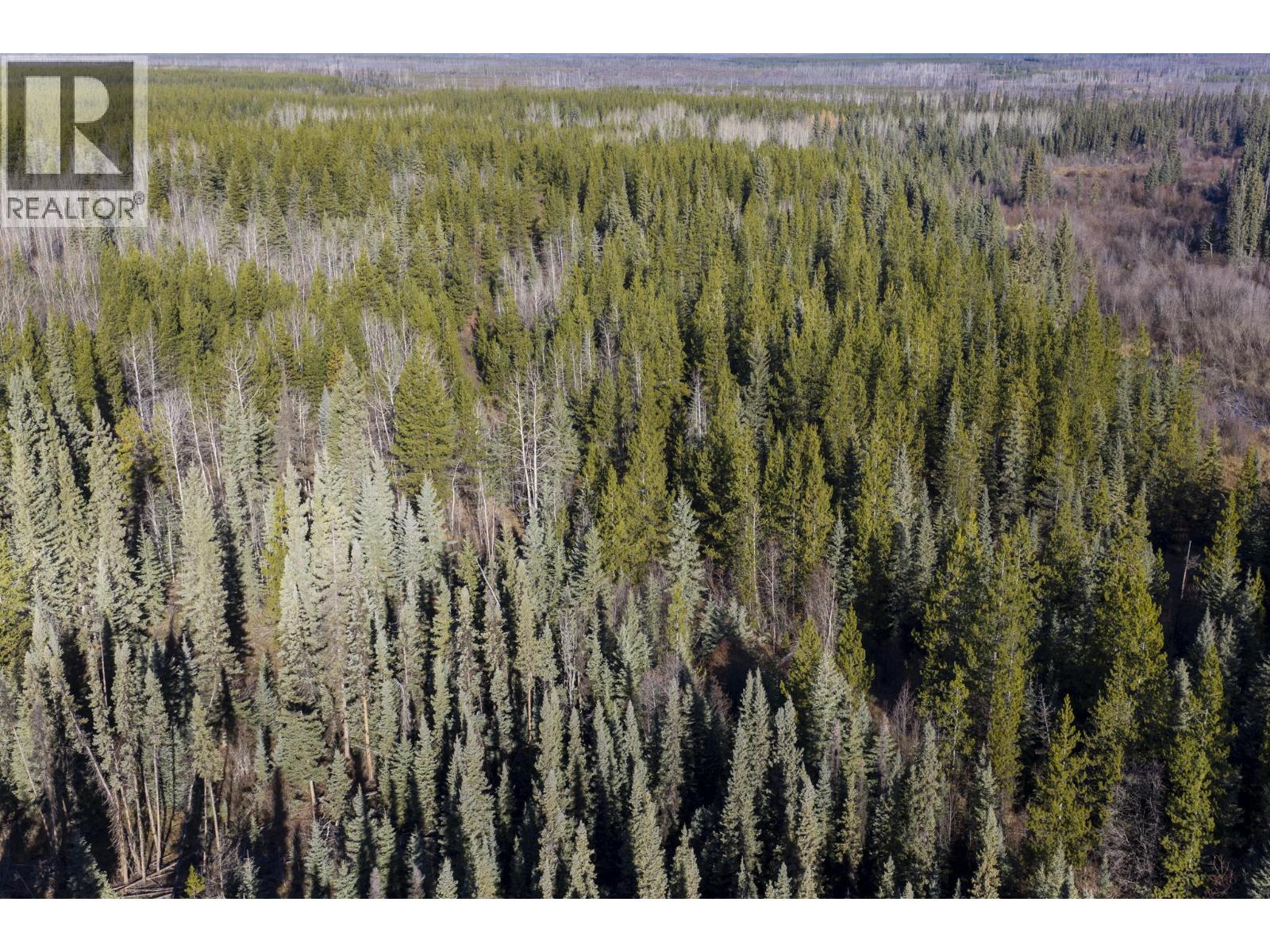 Blk A Dog Creek Road, Fort Fraser, British Columbia V0J 1N0 - Photo 3 - R3177234