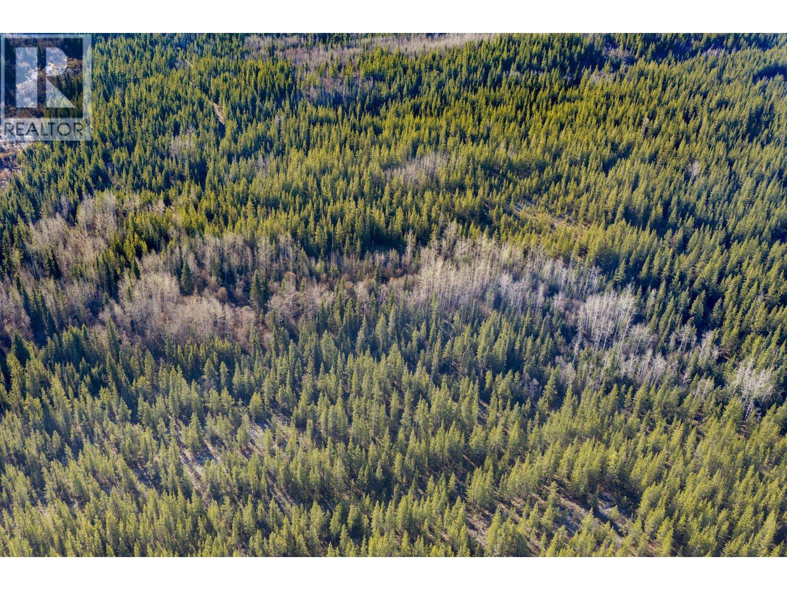 Blk A Dog Creek Road, Fort Fraser, British Columbia V0J 1N0 - Photo 8 - R3177234