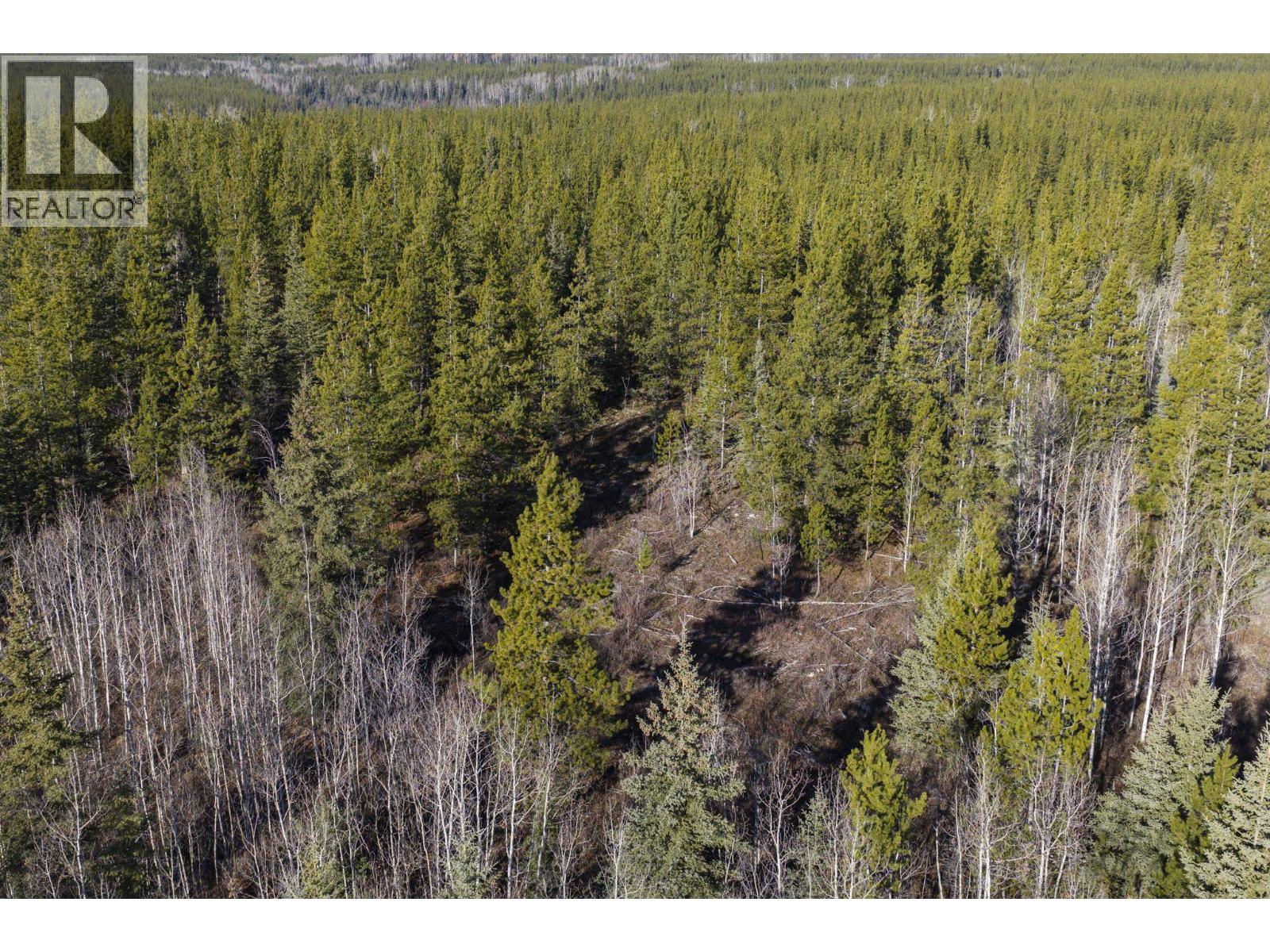 Blk A Dog Creek Road, Fort Fraser, British Columbia V0J 1N0 - Photo 4 - R3177234