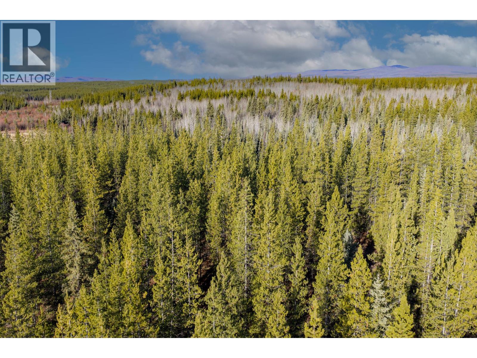 Blk A Dog Creek Road, Fort Fraser, British Columbia V0J 1N0 - Photo 12 - R3177234