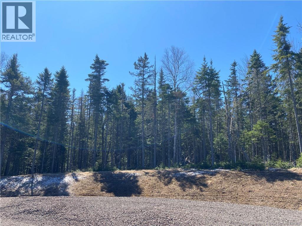 23-23 Breckenridge Court, Lutes Mountain, New Brunswick  E1G 5V8 - Photo 3 - NB150276