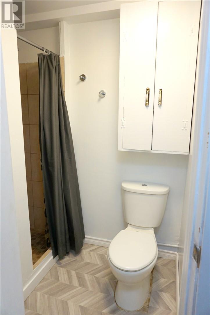 1063 Beaumont Avenue, Greater Sudbury, Ontario P3A 3G7 - Photo 41 - 2130879