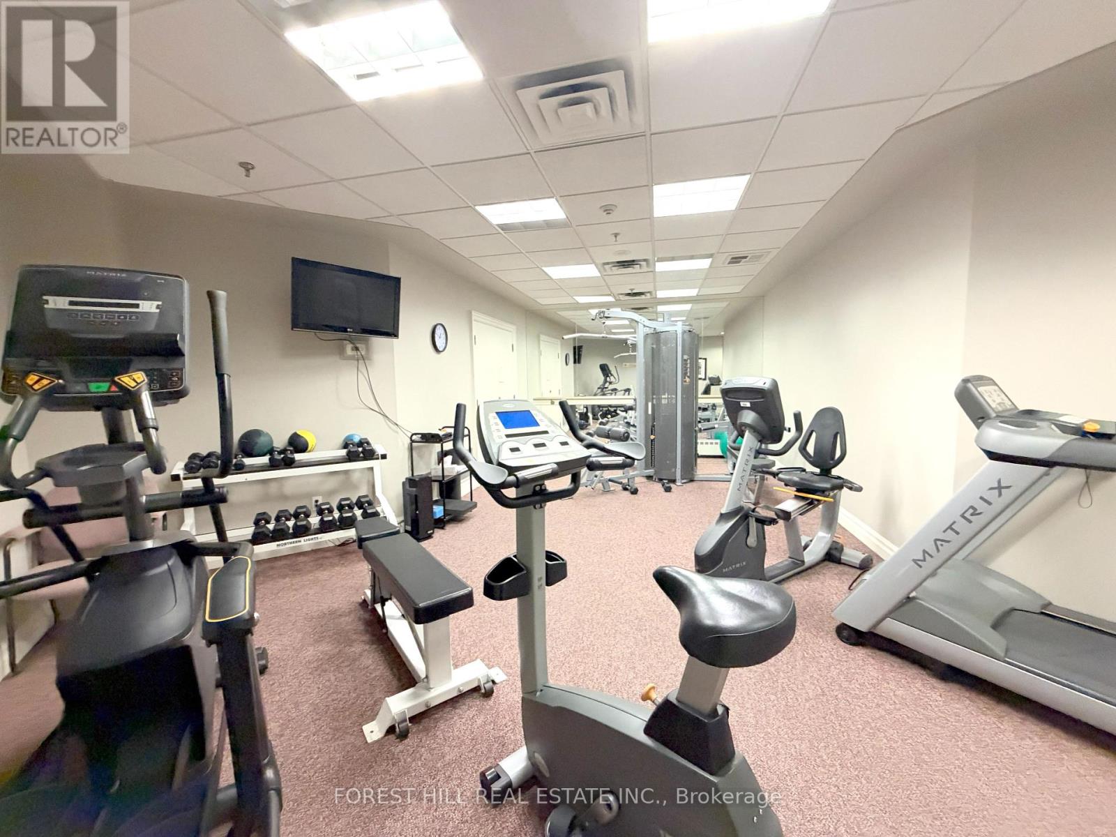 205 - 75 York Mills Road, Toronto, Ontario  M5P 2E7 - Photo 28 - C14116164