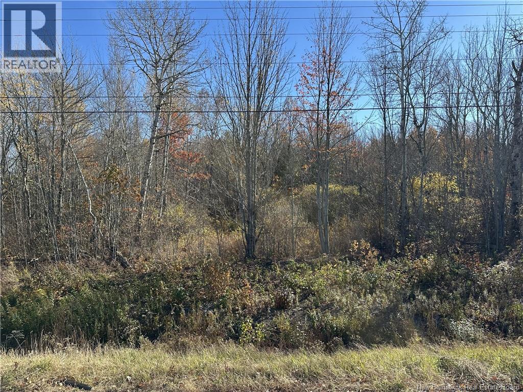 0 Route 105, Youngs Cove, New Brunswick  E4C 2C2 - Photo 1 - NB150287