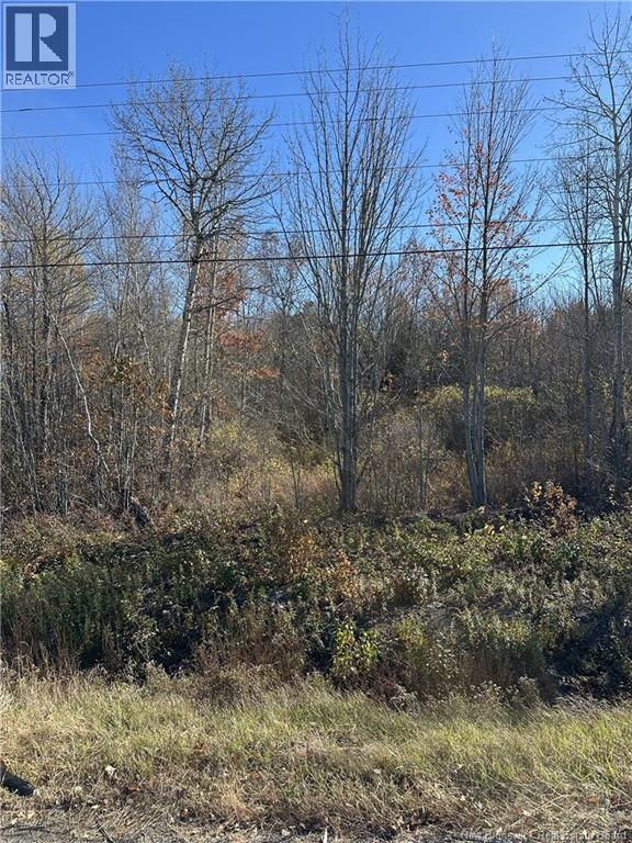 0 Route 105, Youngs Cove, New Brunswick  E4C 2C2 - Photo 4 - NB150287