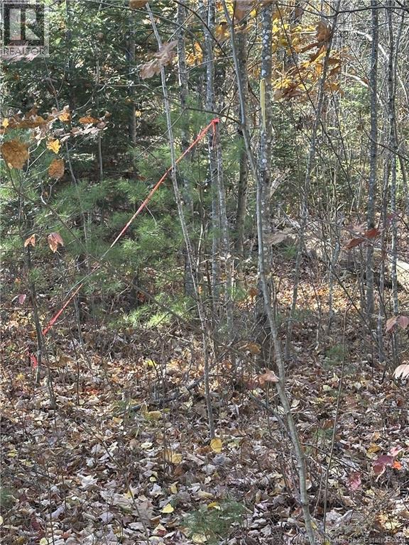 0 Route 105, Youngs Cove, New Brunswick  E4C 2C2 - Photo 5 - NB150287