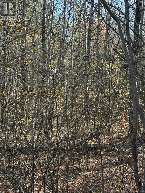 0 Route 105, Youngs Cove, New Brunswick  E4C 2C2 - Photo 6 - NB150287