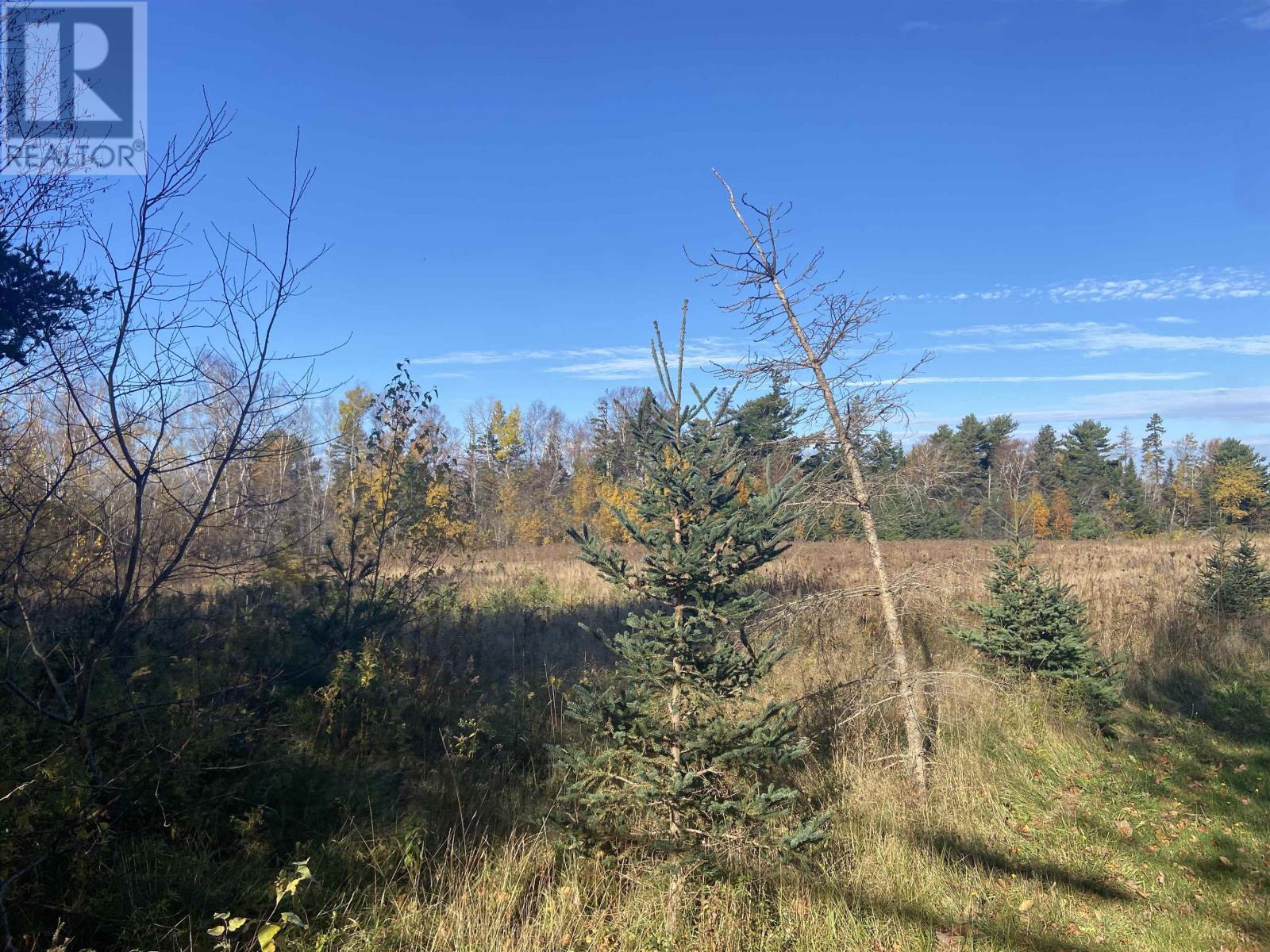 Acreage Route 17, Lower Montague, Prince Edward Island C0A 1R0 - Photo 6 - 202626540