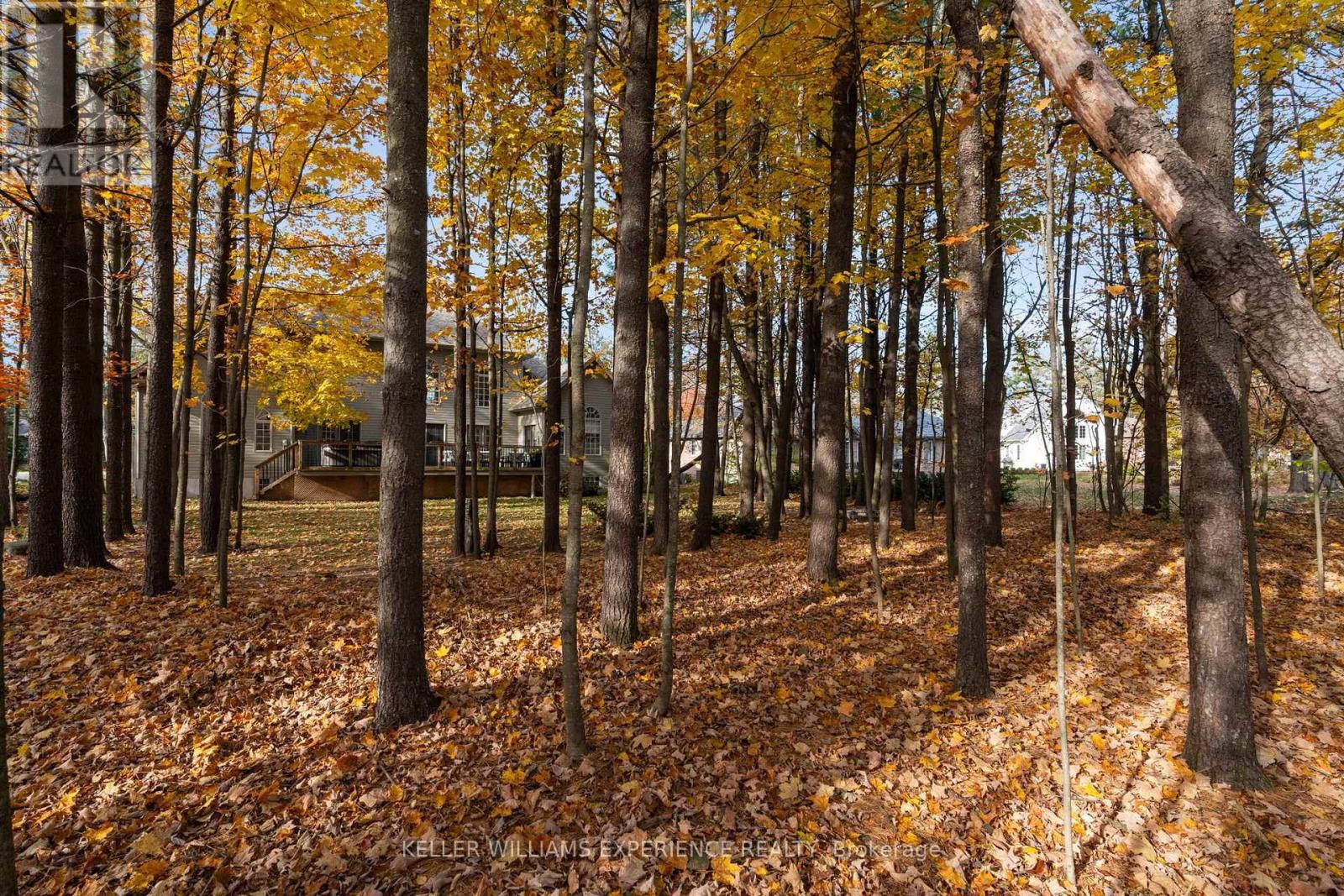 17 Fairway Court, Oro-Medonte, Ontario  L0L 2L0 - Photo 25 - S14116238