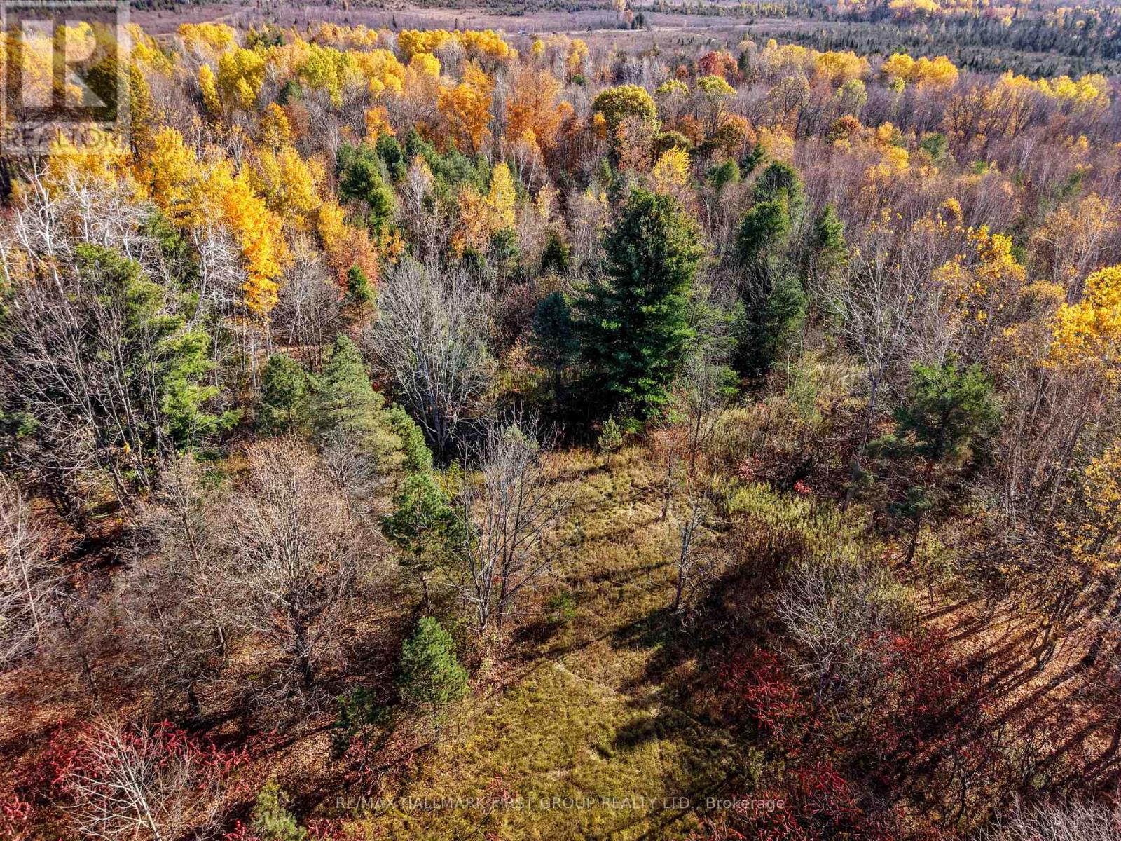 A Pipeline Road, Cramahe, Ontario  K0K 1M0 - Photo 7 - X14116218