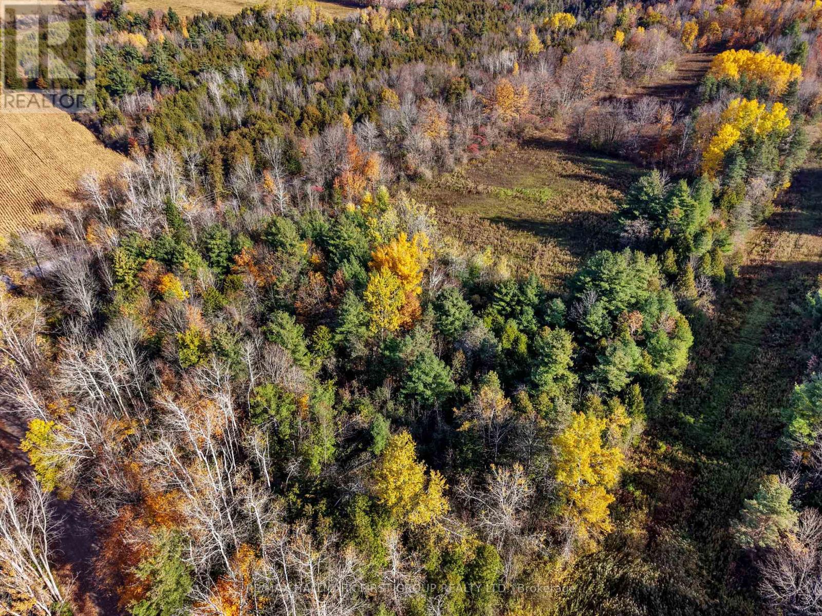 B2 Pipeline Road, Cramahe, Ontario  K0K 1M0 - Photo 5 - X14116250