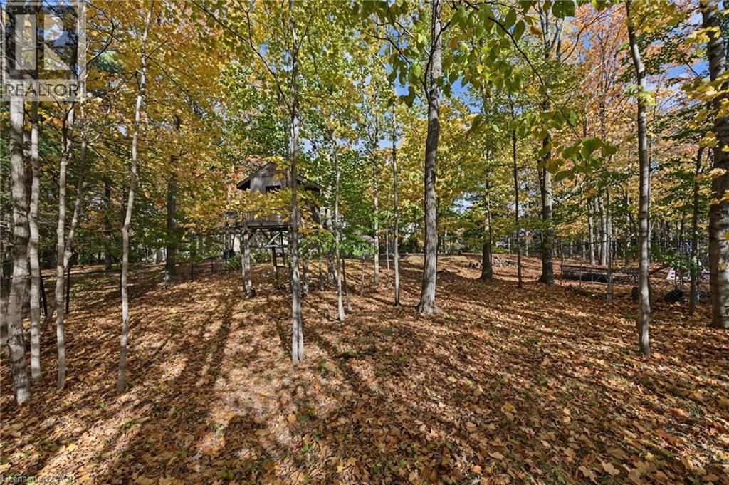872 6th Conc Road W, Flamborough, Ontario  L8B 1M9 - Photo 45 - 40867909