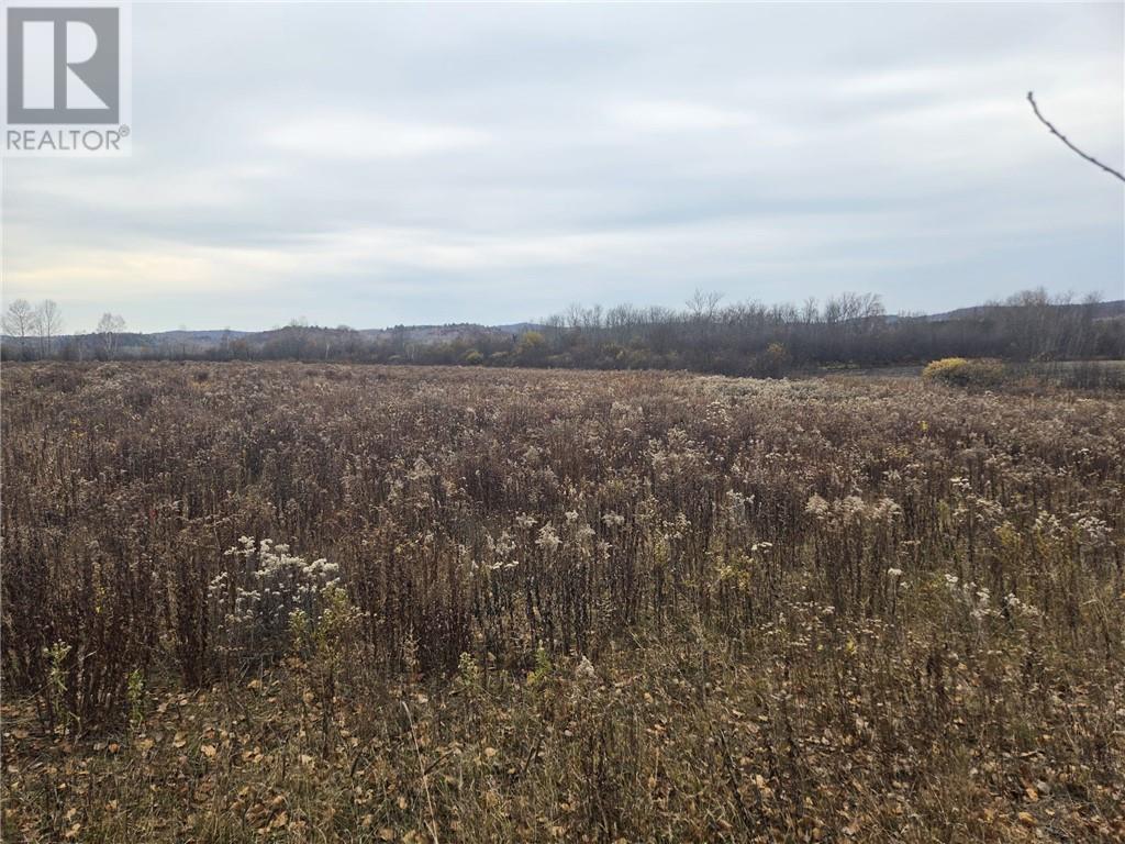 Lot 9 Morgan Road, Chelmsford, Ontario  P0M 1L0 - Photo 3 - 2131090