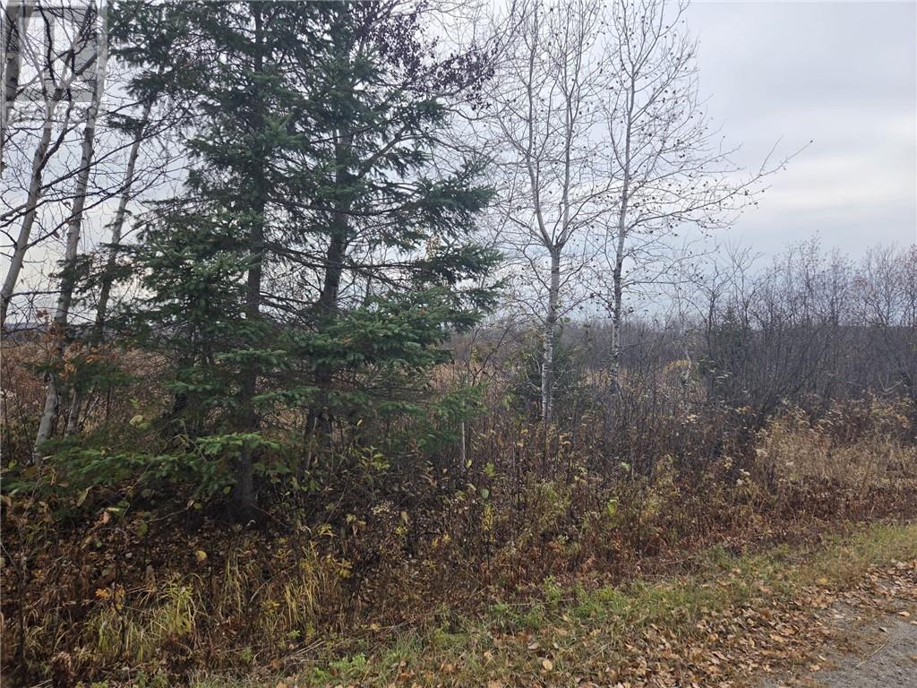 Lot 9 Morgan Road, Chelmsford, Ontario  P0M 1L0 - Photo 4 - 2131090