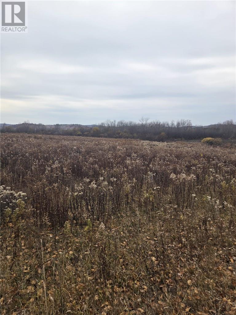 Lot 9 Morgan Road, Chelmsford, Ontario  P0M 1L0 - Photo 5 - 2131090