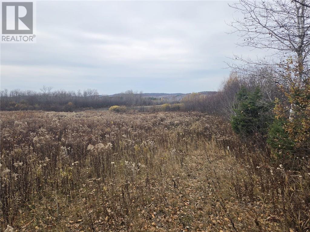 Lot 9 Morgan Road, Chelmsford, Ontario  P0M 1L0 - Photo 7 - 2131090