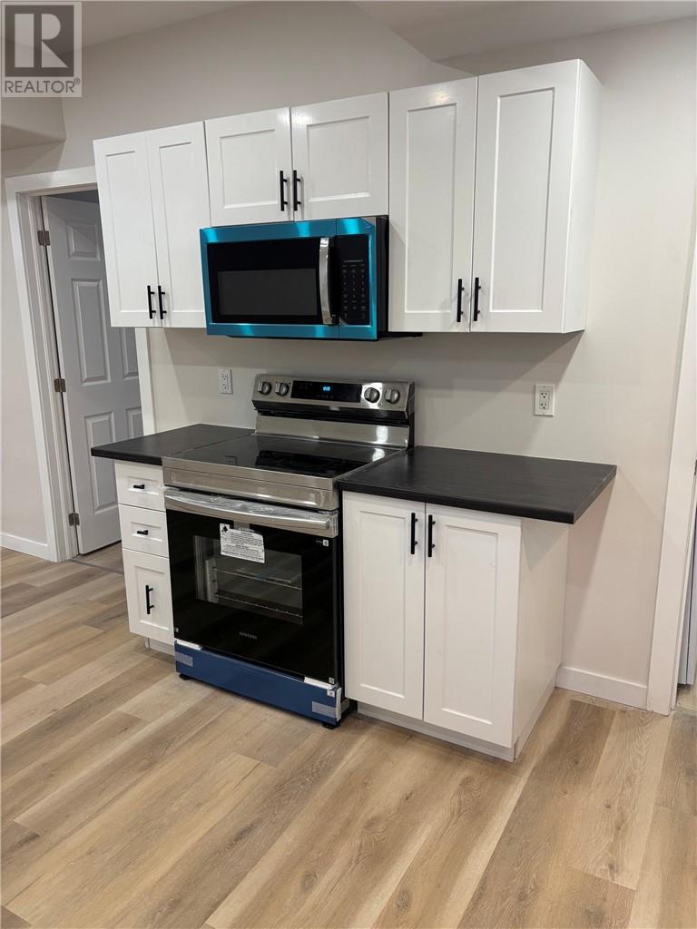 540 Huron Street Unit# B, Sudbury, Ontario  P3C 2R1 - Photo 3 - 2131084